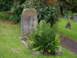 image of grave number 919870